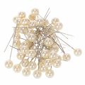 Floristik24 Helmipääpinnien väri, samppanja, Ø10 mm, 60 mm