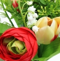 Floristik24 Ranunculus-kimppu, tulppaanikimppu punainen
