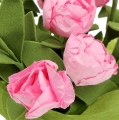 Floristik24 Pöytäkoriste miniruusuja vaaleanpunaisena 16cm